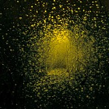 The Antlers - Burst Apart