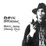 Robyn Hitchcock - Black Snake Diamond Role
