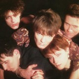 The House Of Love - The German Album