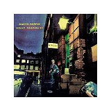 David Bowie - Ziggy Stardust