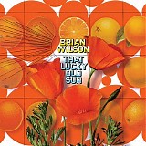 Brian Wilson - That Lucky Old Sun