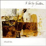 Third Eye Foundation - Collected Works (Disc 3 - Little Lost Soul)