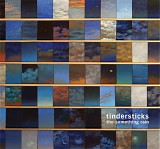 Tindersticks - The Something Rain