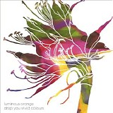 Luminous Orange - Drop You Vivid Colours