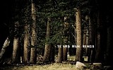 Tears Run Rings - Always, Sometimes, Seldom, Never