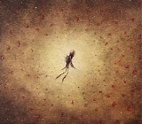 Eluvium - Similes