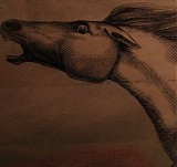 Julian Lynch - Mare