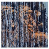 Julian Lynch - Lines