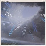 The Cave Singers - Naomi
