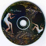 Amorphous Androgynous - The Isness