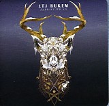 Various artists - FabricLive.46 - LTJ Bukem