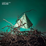 Various artists - FabricLive.58 - Goldie
