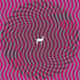 Deerhunter - Cryptograms