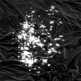 Peals - Walking Field