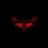 Lil Wayne - I am not a human being II