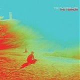 The Flaming Lips - The terror