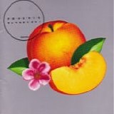 Phoenix - Bankrupt!