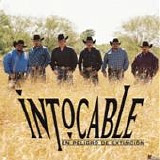 Intocable - En peligro de extincion
