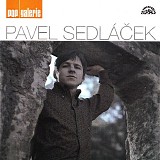 Pavel Sedlacek - Pavel Sedlacek - pop galerie
