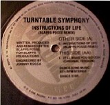 Turntable Symphony - Instructions Of Life (Blapps Posse Remix)