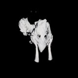 Sigur RÃ³s - Kveikur