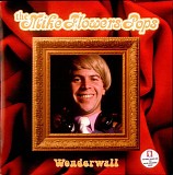 The Mike Flowers Pops - Wonderwall