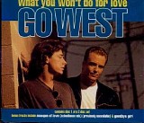 Go West - What You Won't Do For Love