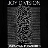 Joy Division - Unknown Pleasures