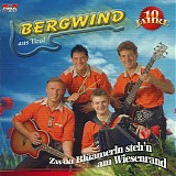 Bergwind Aus Tirol - Zwoa BlÃ¼amerln Steh'n Am Wiesenrand