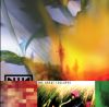 Nine Inch Nails - Further Down the Spiral - The Great Collapse (The Fragile B-Sides)