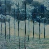 Camera Obscura - Desire lines