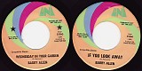 Barry Allen - Wednesday In Your Garden/If You Look Away (US Promo)