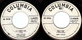 Jerri Adams - If I Forget You/Walk Fast (US Promo)