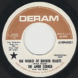The Amen Corner - The World Of Broken Hearts/Nema (US Promo)