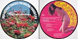 Acid Mothers Temple & The Melting Paraiso U.F.O. - 41st Century Splendid Man