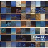 Tindersticks - The Something Rain