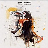 Peter Doherty - Grace/Wastlands