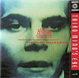 In The Nursery - An Ambush Of Ghosts