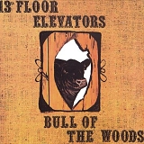 13th Floor Elevators - Bull of the Woods