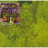 Animal Collective - Water Curses