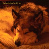 Eluvium - Indecipherable Text - Disc 2  Talk Amongst the Trees