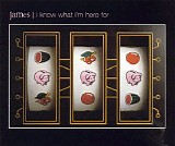 James - I Know What I'm Here For