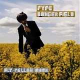 Fyfe Dangerfield - Fly Yellow Moon