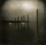 OM - Conference Of The Birds