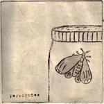 Parachutes - Susy