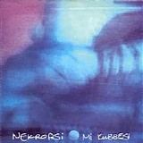 Nekropsi - Mi Kubbesi