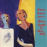 Adrian Belew - Desire Caught By The Tail