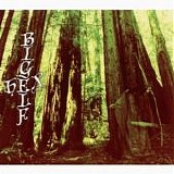 Bigelf - Hex