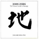 John Zorn - Classic Guide To Strategy