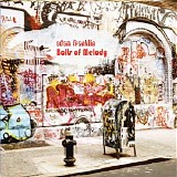 Adam Franklin - Bolts Of Melody